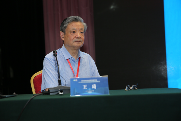 图片三 王琦教授_副本.png