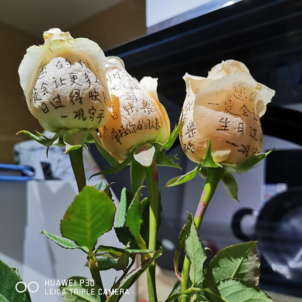 高炀宣传稿2.21图2_副本.jpg