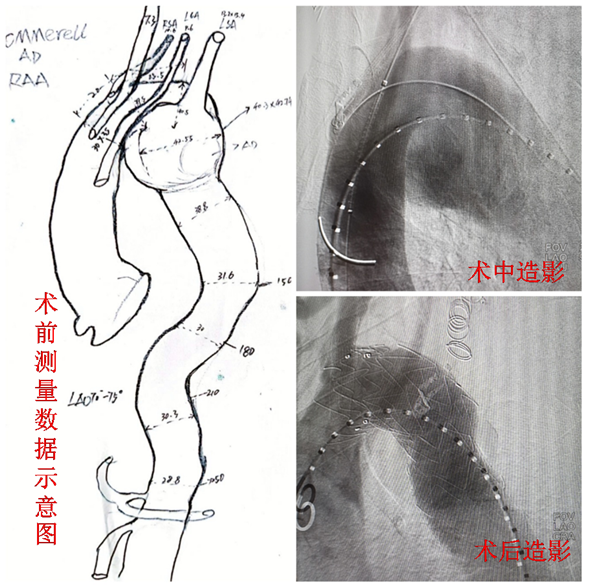 微信图片_20220606143255.png