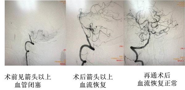 微信图片_20190625083318_副本.jpg