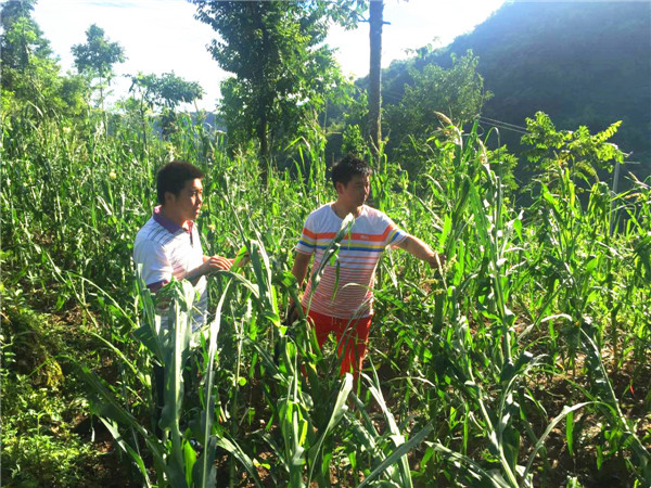 微信图片_20170714134930.jpg