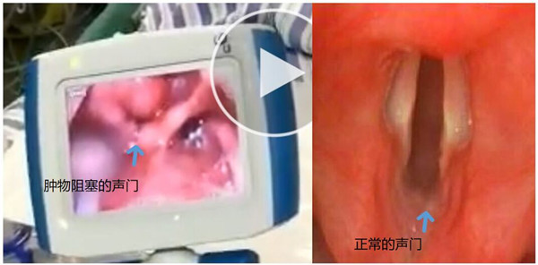 QQ图片20190409091130_副本.jpg