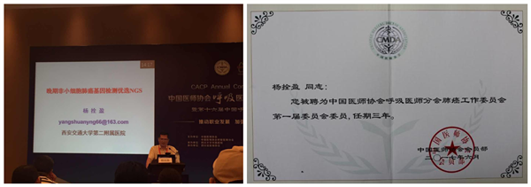 图片1_副本.png