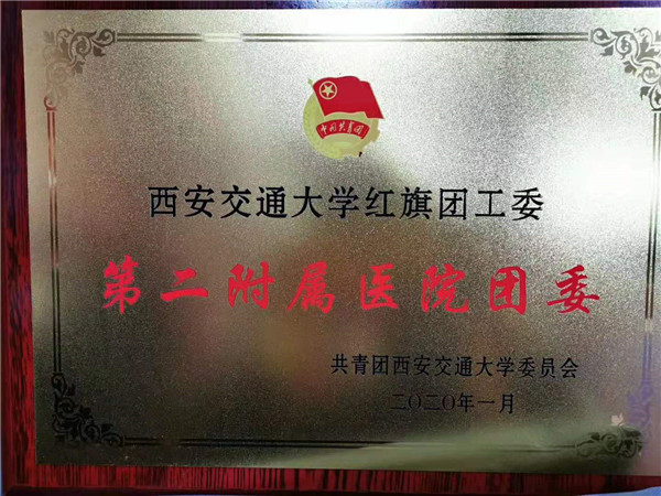 我院团委荣获“西安交通大学红旗团工委”荣誉称号.jpg